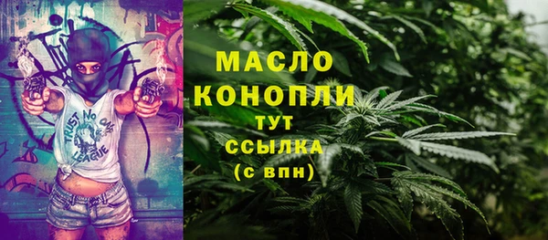 СК Тавда