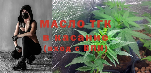 СК Тавда